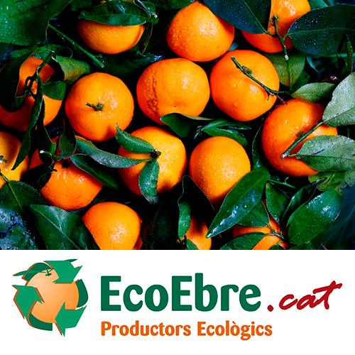 Guanyadors dels 3 lots de 10 quilos de taronges i mandarines!